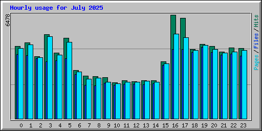Hourly usage for July 2025