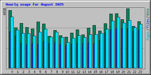 Hourly usage for August 2025