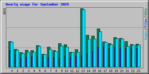 Hourly usage for September 2025